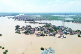 Cảnh báo lũ đặc biệt lớn trên sông Cầu, sông Thương, dự báo ngập lụt kéo dài