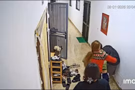 Nguyên nhân vụ người phụ nữ hành hung hàng xóm tại chung cư ở Hà Nội