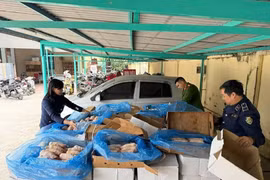 Phát hiện gần 2 tấn xương lợn không rõ nguồn gốc ở Hà Nội