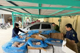 Phát hiện gần 2 tấn xương lợn không rõ nguồn gốc ở Hà Nội