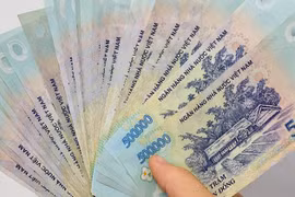 Bắt tạm giam Thủ quỹ hợp tác xã tham ô 600 triệu đồng ở Ninh Bình