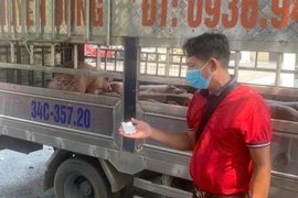  Ngăn chặn xe chuyển lợn nhiễm dịch tả lợn Châu Phi