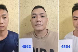 Bắt ổ nhóm trộm cắp tài sản và tàng trữ trái phép chất ma túy