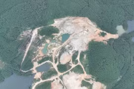 Công ty Đá quý và vàng Hà Nội bị phạt hơn 900 triệu đồng