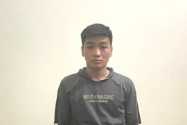 Bắt giữ đối tượng tàng trữ pháo nổ và ma túy ở Ninh Bình