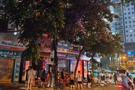 Cháy cửa hàng hoa ở Hà Nội, cảnh sát phá cửa cuốn để dập lửa