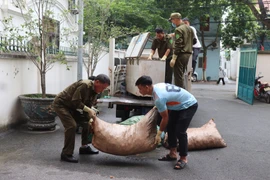 Phát hiện cơ sở chế biến chui số lượng lớn mỡ lợn bẩn ở Phú Thọ