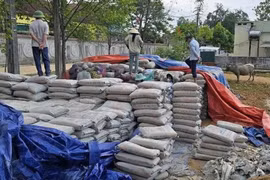 Mức án nào cho Chủ tịch xã để hư hỏng hàng trăm tấn xi măng?