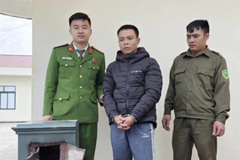 Bắt tài xế taxi đột nhập nhà dân đục két sắt trộm tiền, vàng