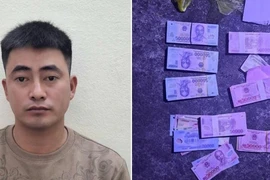 Bắt đối tượng cạy cốp xe ở nghĩa trang Ninh Bình trộm 150 triệu đồng 