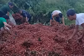 Sự thật đằng sau vụ xe gặp nạn, 4 tấn vải bị nhặt gần hết