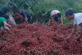 Sự thật đằng sau vụ xe gặp nạn, 4 tấn vải bị nhặt gần hết