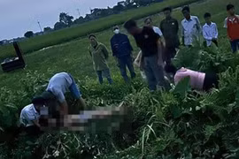 Ba học sinh bị điện giật trong lúc thả diều ở Hà Nội