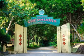 Tìm thấy thi thể nam du khách mất tích trong rừng Cúc Phương