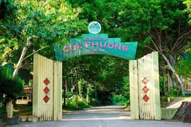 Tìm thấy thi thể nam du khách mất tích trong rừng Cúc Phương