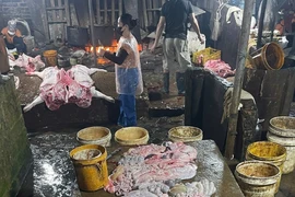 Phát hiện cơ sở giết mổ gần 3 tấn thịt lợn nhiễm dịch tả