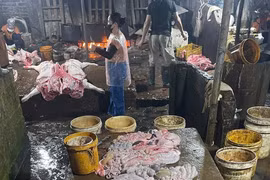 Phát hiện cơ sở giết mổ gần 3 tấn thịt lợn nhiễm dịch tả