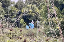 Bé gái chăn bò chết tức tưởi dưới tay gã hàng xóm dã tâm 