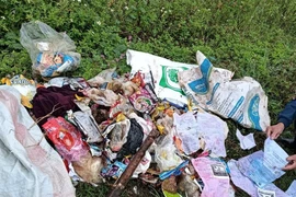 Công an xã Nhã Nam vào cuộc xác minh, xử phạt vứt rác nơi công cộng 