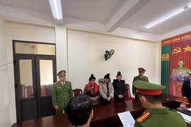 Thiếu tiền tiêu xài, 3 phụ nữ rủ nhau hái trộm quả cà phê ở Sơn La