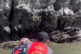 Tìm thấy thi thể người cha mất tích trong vụ hai cha con tắm biển