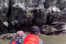 Tìm thấy thi thể người cha mất tích trong vụ hai cha con tắm biển