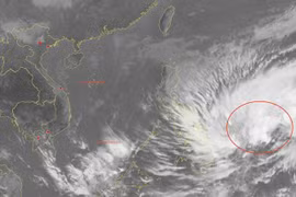 Xuất hiện áp thấp nhiệt đới gần Biển Đông có khả năng mạnh lên thành bão