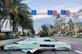 MTTQ Việt Nam phân bổ 30 tỷ đồng hỗ trợ các địa phương sau bão số 13 