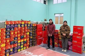 Vụ mua bán hơn 6 tấn pháo nổ ở Hà Nội, đối tượng khai gì?