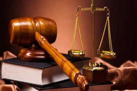 Xử phạt Công ty CP Miền Tây gần 100 triệu vì chiếm đất công tại Lào Cai