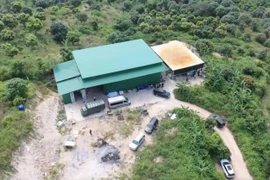 Bí ẩn rợn người đằng sau trang trại nuôi cá cảnh