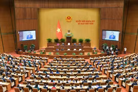 Chỉ định Chủ tịch, Phó Chủ tịch HĐND các tỉnh, thành phố