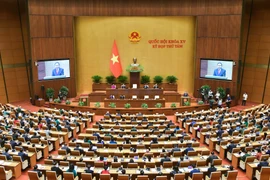 Chỉ định Chủ tịch, Phó Chủ tịch HĐND các tỉnh, thành phố