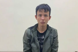 Bắt giữ đối tượng cướp giật tài sản của người phụ nữ ở Ninh Bình