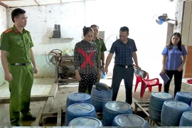 Khởi tố người phụ nữ pha hóa chất làm 1,4 tấn giá đỗ ở Ninh Bình