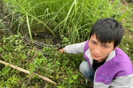 Bắc Ninh: Tạm giữ đối tượng trộm cắp dây cáp đèn chiếu sáng nông thôn