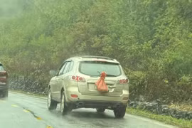 Xử phạt trường hợp che kín biển số xe khi tham gia giao thông ở Cao Bằng