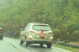 Xử phạt trường hợp che kín biển số xe khi tham gia giao thông ở Cao Bằng