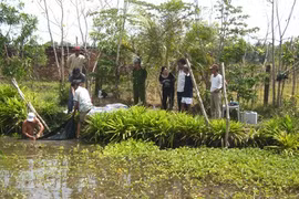 Đi tìm dê lúc chiều tối, người phụ nữ trẻ gặp nạn đau lòng