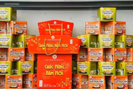 Đốt pháo hoa dịp Tết Âm lịch 2026 cần lưu ý gì để tránh bị phạt?