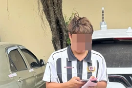 Xử phạt nam tài xế ô tô ở Ninh Bình vì che lấp biển số