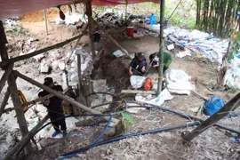 Lật tẩy bí mật nằm sâu trong vườn nhà người đàn ông ở Tuyên Quang