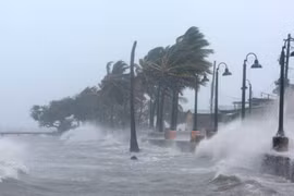 Áp thấp nhiệt đới trên Biển Đông, di chuyển như thế nào?