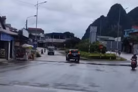 Xử phạt, trừ điểm GPLX tài xế đi ô tô biển xanh ngược chiều ở Cao Bằng