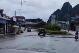 Xử phạt, trừ điểm GPLX tài xế đi ô tô biển xanh ngược chiều ở Cao Bằng