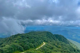 Bí ẩn 'người rừng' gần ngôi miếu hoang trên đỉnh Phia Oắc