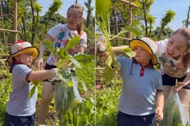 Mãn nhãn khu vườn xanh mướt của diễn viên Chi Bảo và vợ trẻ