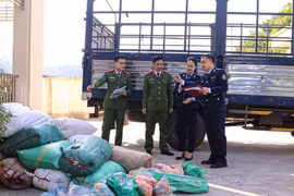 Phát hiện, xử lý hơn 2 tấn nội tạng động vật không rõ nguồn gốc ở Sơn La