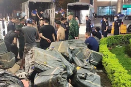 Thu giữ hơn 10 tấn thực phẩm đông lạnh nhập lậu ở Lào Cai