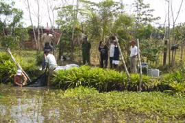 Tin người, cô gái trẻ xinh đẹp chết thảm dưới tay gã hàng xóm